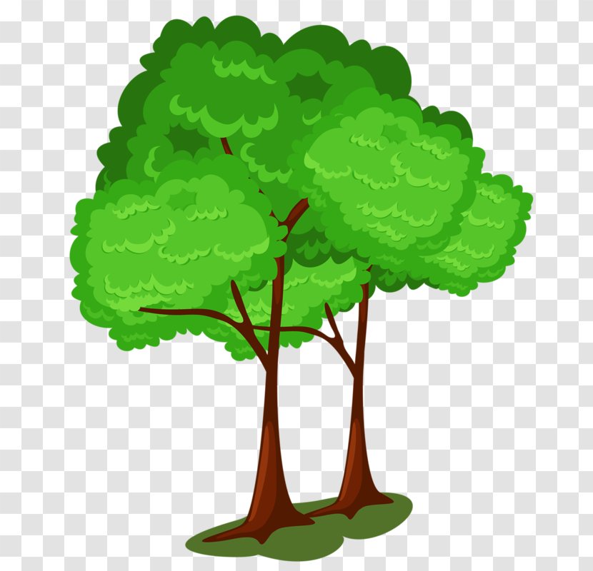 Drawing - Leaf - Tree Transparent PNG