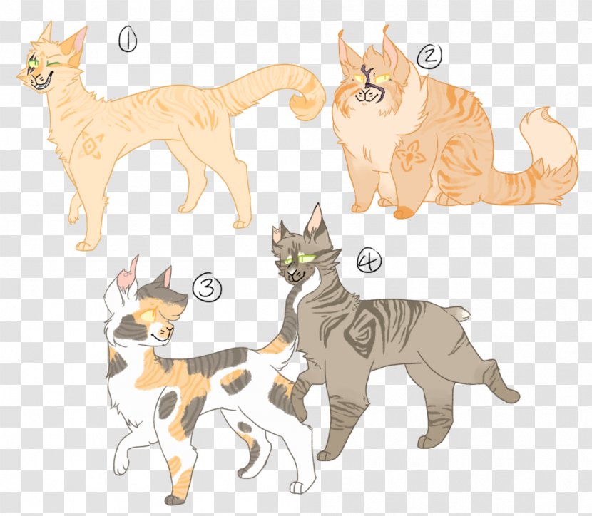 Whiskers Tiger Lion Cat Dog Breed - Kitten - Five Siblings For Adoption Transparent PNG