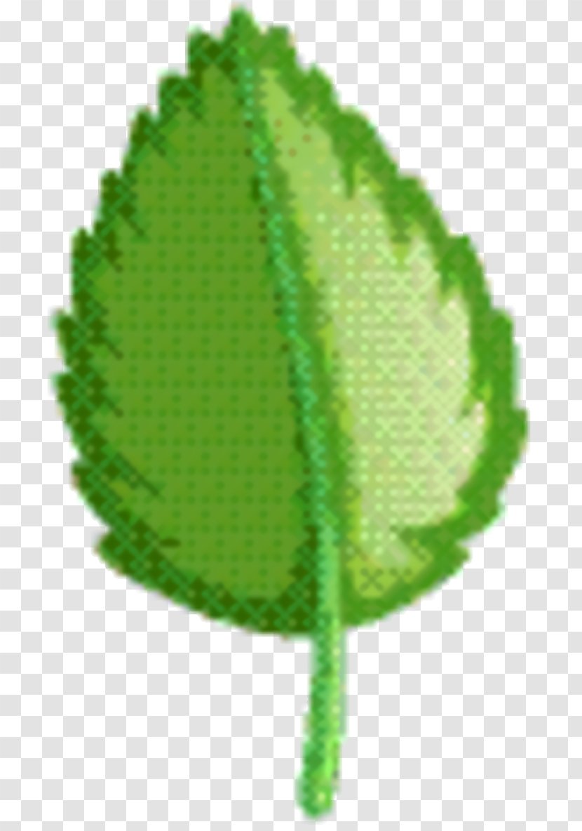 Green Leaf Background - Plant Transparent PNG