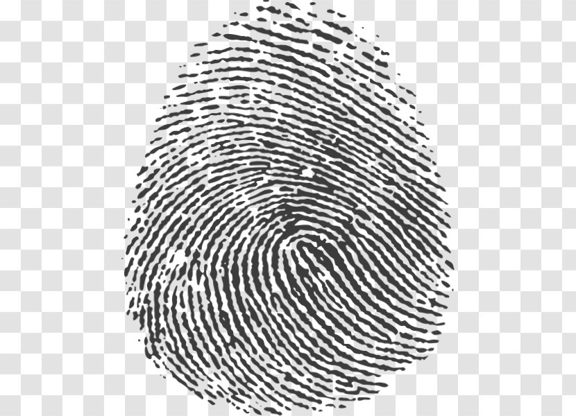 Fingerprint Image Graphics Graphic Design Illustration - Thumb Transparent PNG