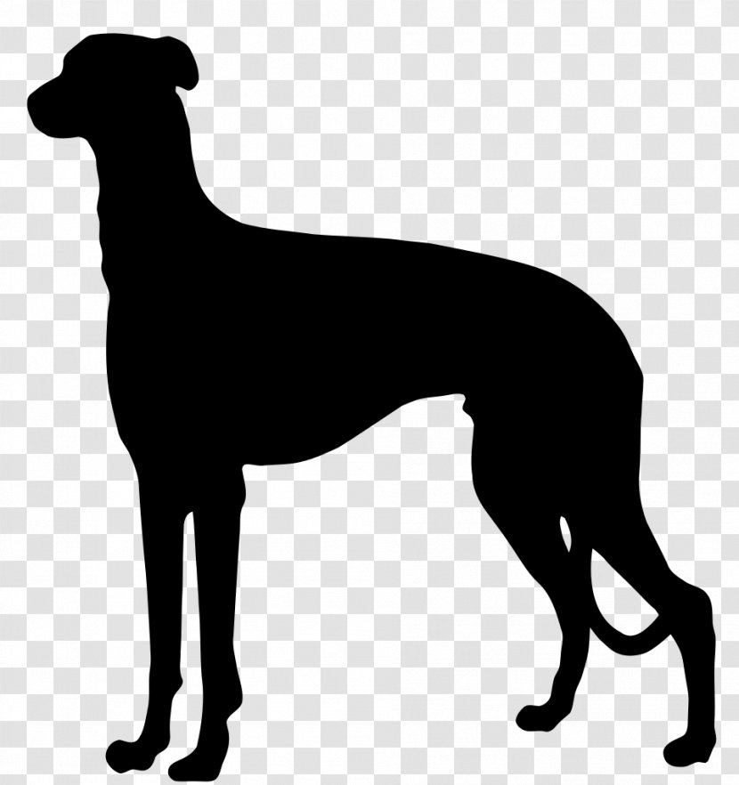 German Shorthaired Pointer Wirehaired Longhaired Spinone Italiano - Italian Greyhound - Dog Silhouette Transparent PNG
