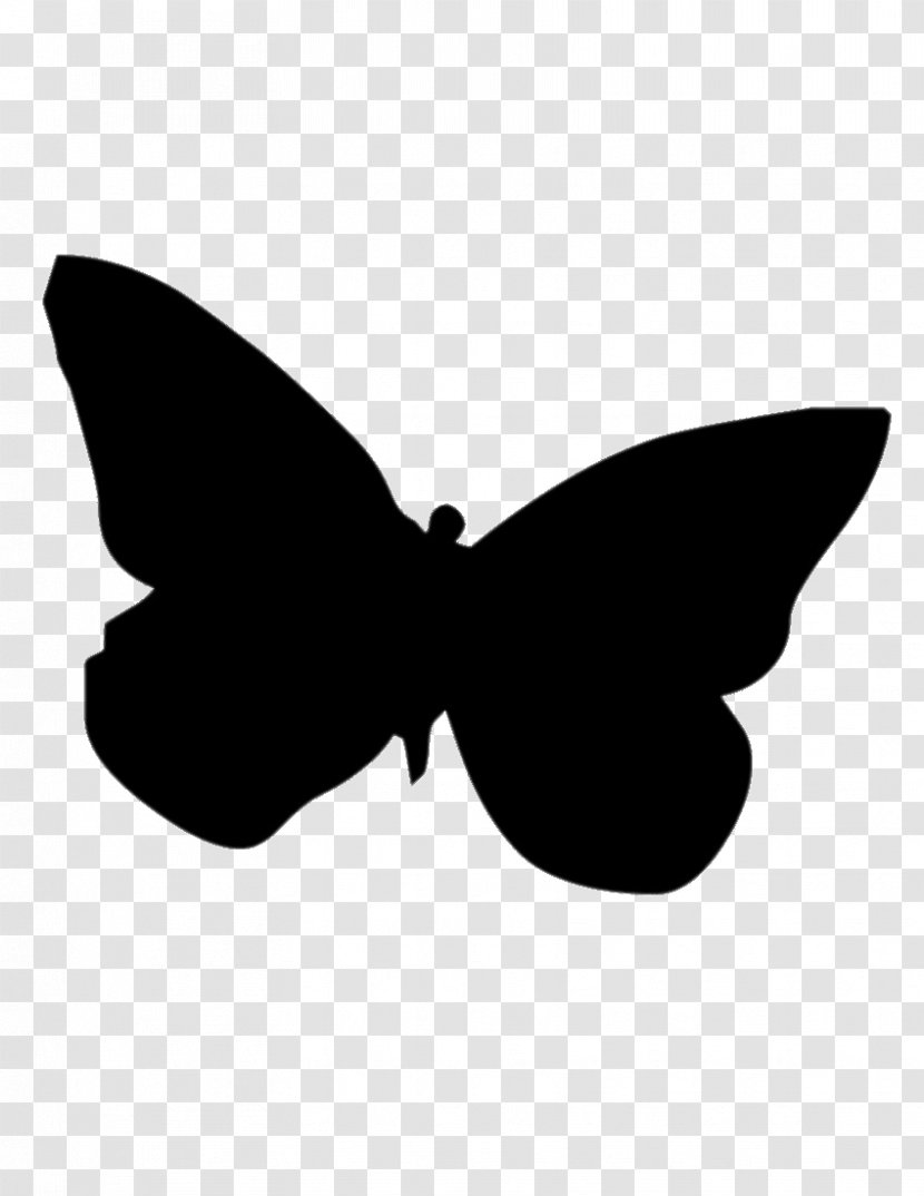 Butterfly Silhouette Drawing Clip Art - Cartoon Transparent PNG