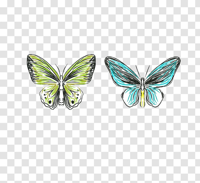 Butterfly Watercolor Painting Drawing - Moths And Butterflies Transparent PNG