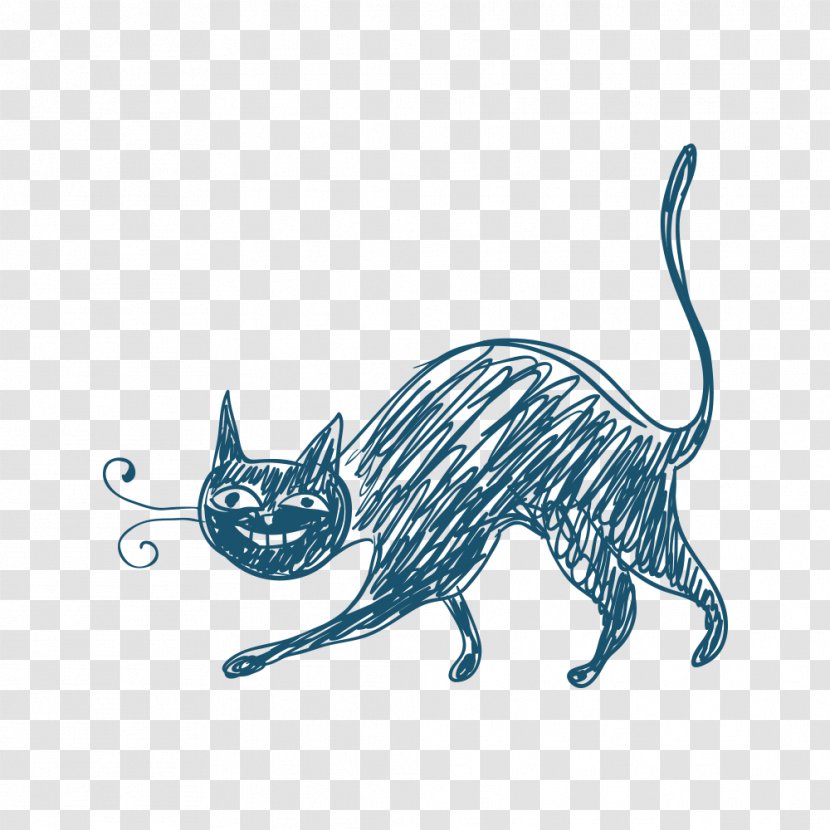 Kitten Tabby Cat Whiskers Illustration - Small To Medium Sized Cats - Line Transparent PNG