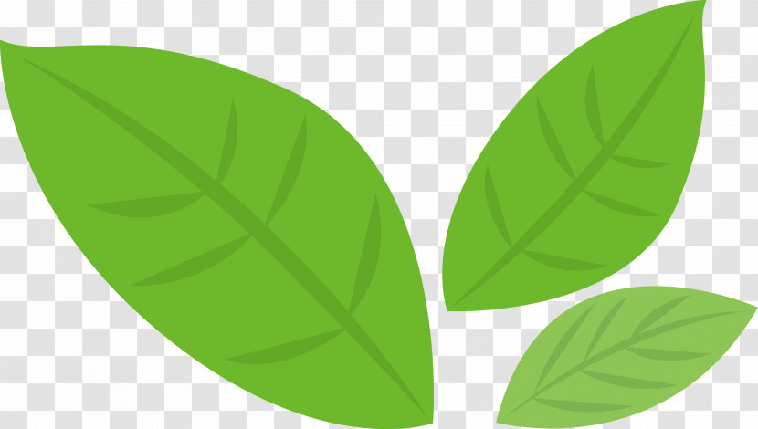 Banana Leaf Transparent PNG