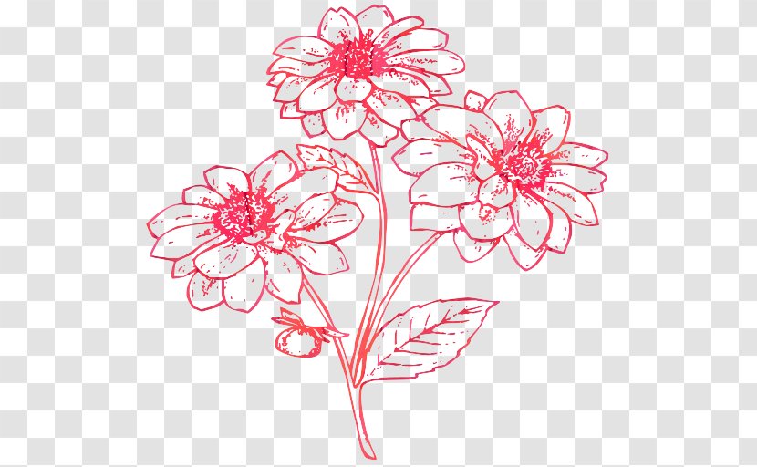 Black And White Flower - Petal - Wildflower Gerbera Transparent PNG