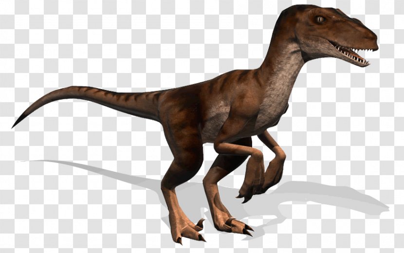 Albertosaurus Tyrannosaurus Allosaurus Pachyrhinosaurus Dinosaur - Dinosaurs Transparent PNG