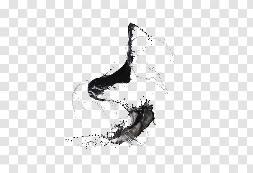 Bruce Silverstein Gallery Japanese Calligraphy Photography Art - Photographer - Water Splash Transparent PNG