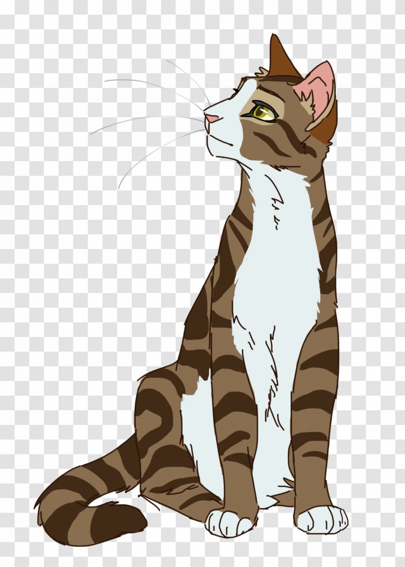 Cats Of The Clans Warriors Leafpool Teller Pointed Stones - Fictional Character Transparent PNG