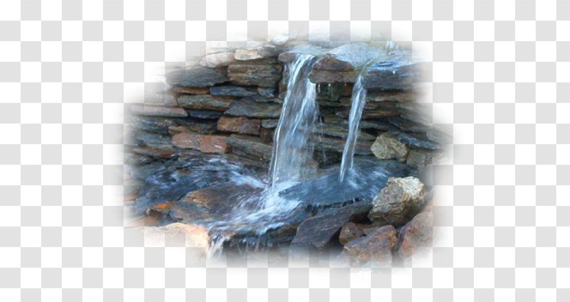 Water Feature Bagacum Resources - Flower Transparent PNG