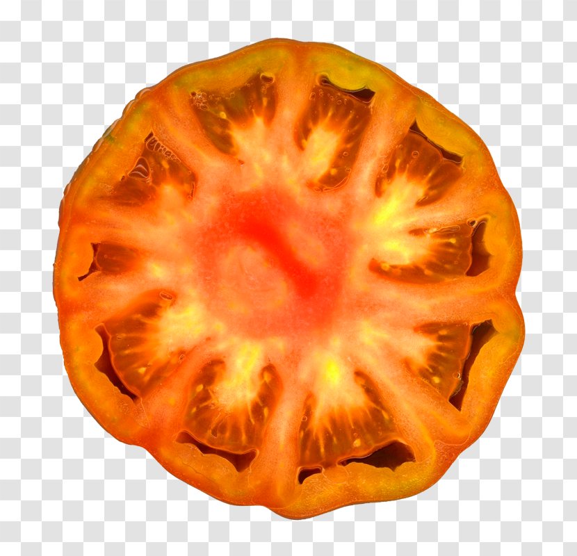 Africa Horned Melon - Cucurbita - Cross-section Of The Horn Transparent PNG