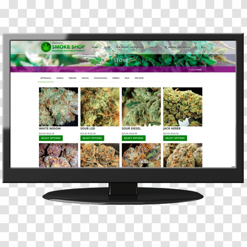 Cannabis Shop Dispensary Medical Head - Liquidcrystal Display Transparent PNG