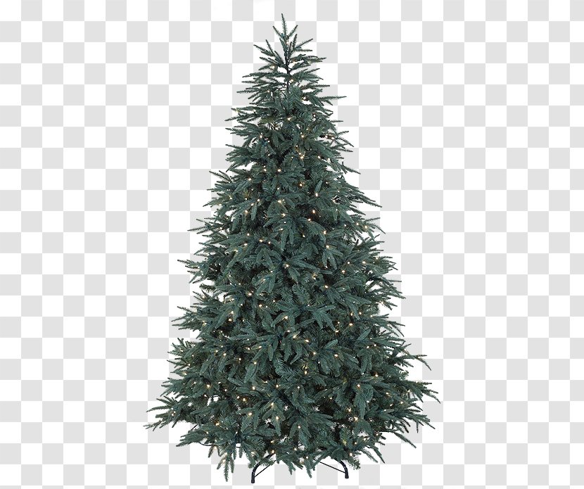 Fraser Fir Noble Pre-lit Tree Aspen - Christmas Lights Etc - Outside Transparent Transparent PNG