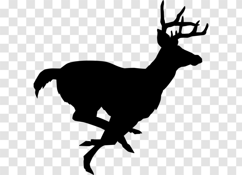 White-tailed Deer Stencil Reindeer Clip Art - Hunting Transparent PNG