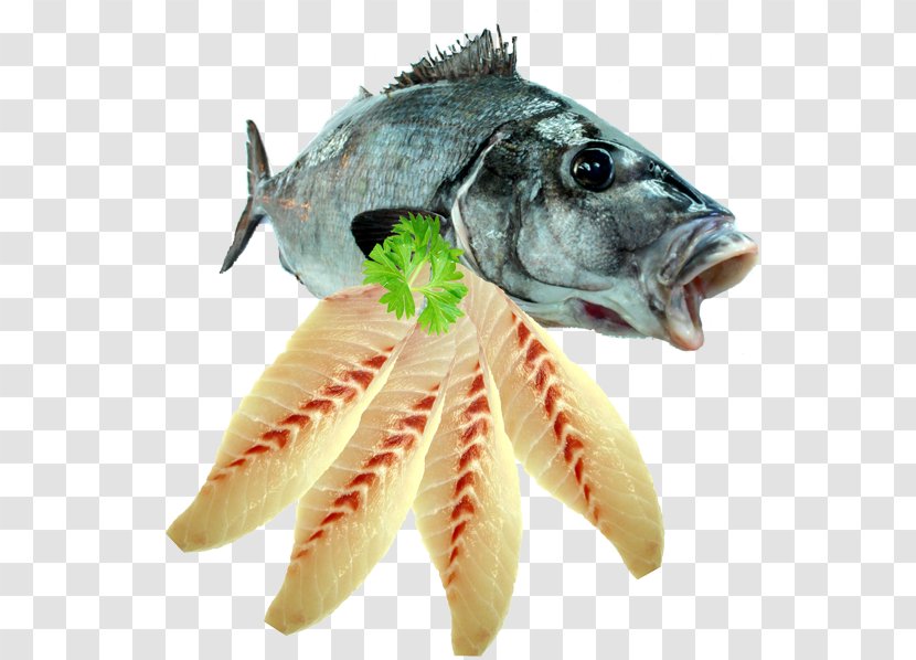 Fish Fillet Seafood - Oily Transparent PNG
