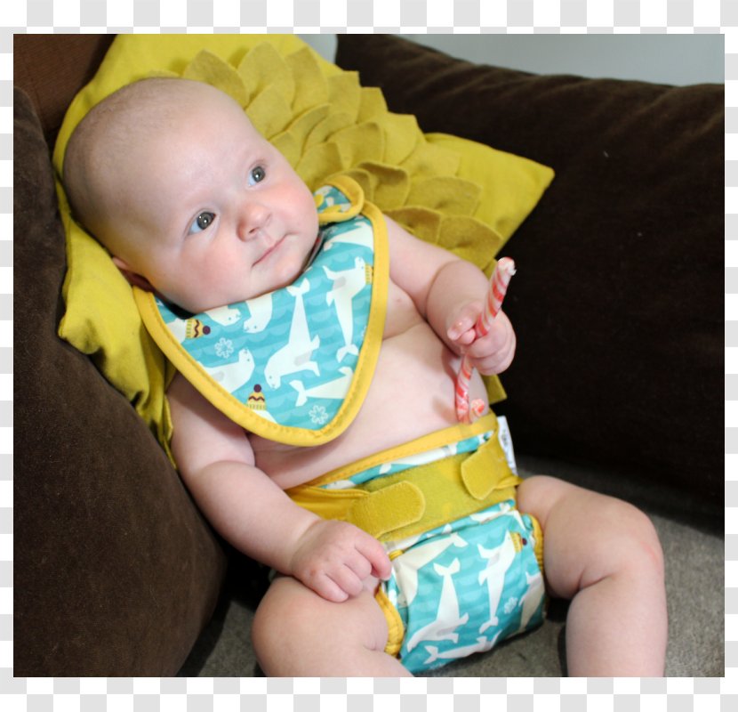 Cloth Diaper Infant Textile Neonate - Fetus - Hedgehog Stamp Transparent PNG