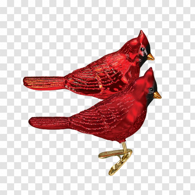 Bird Northern Cardinal Christmas Ornament Arizona Cardinals Glass - Pink Transparent PNG