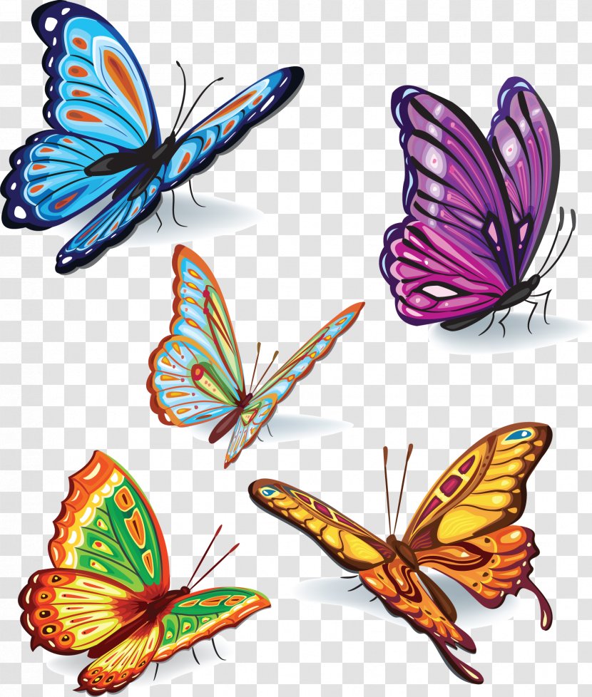 Butterfly Clip Art - Insect Transparent PNG