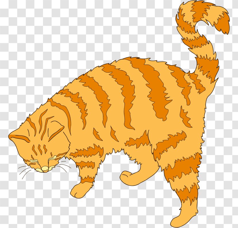 Whiskers Tabby Cat Wildcat Clip Art - Wild Transparent PNG