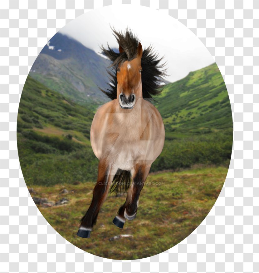 Mane Mustang Mare Stallion Foal - Pasture - Horsehead Printing Transparent PNG