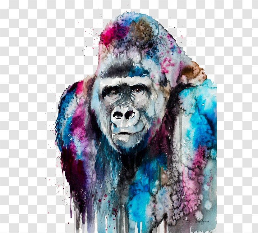 Western Lowland Gorilla Watercolor Painting Art Orangutan - Abstract Transparent PNG