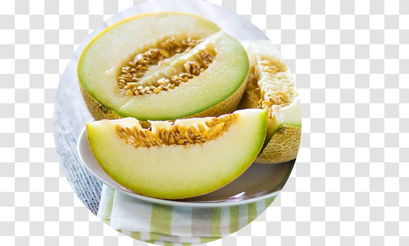 Honeydew Galia Melon Cantaloupe Fruit - Ingredient Transparent PNG