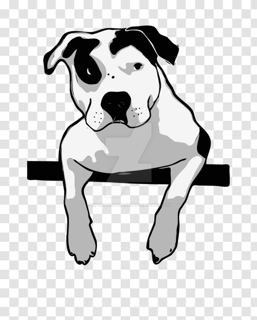 American Pit Bull Terrier Dogo Argentino Bulldog - Non Sporting Group - Pillow Transparent PNG