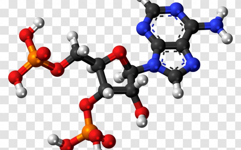 Adenosine Triphosphate Diphosphate Monophosphate Pyrophosphate - Heart - Silhouette Transparent PNG