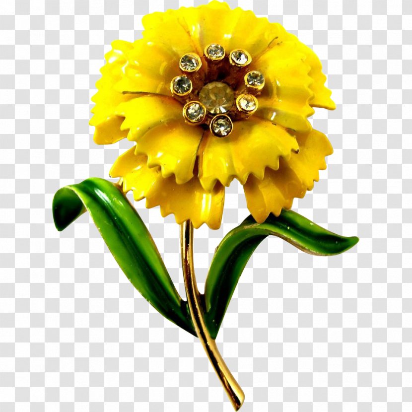 Common Sunflower Carnation Yellow Brooch - Petal - Flower Transparent PNG