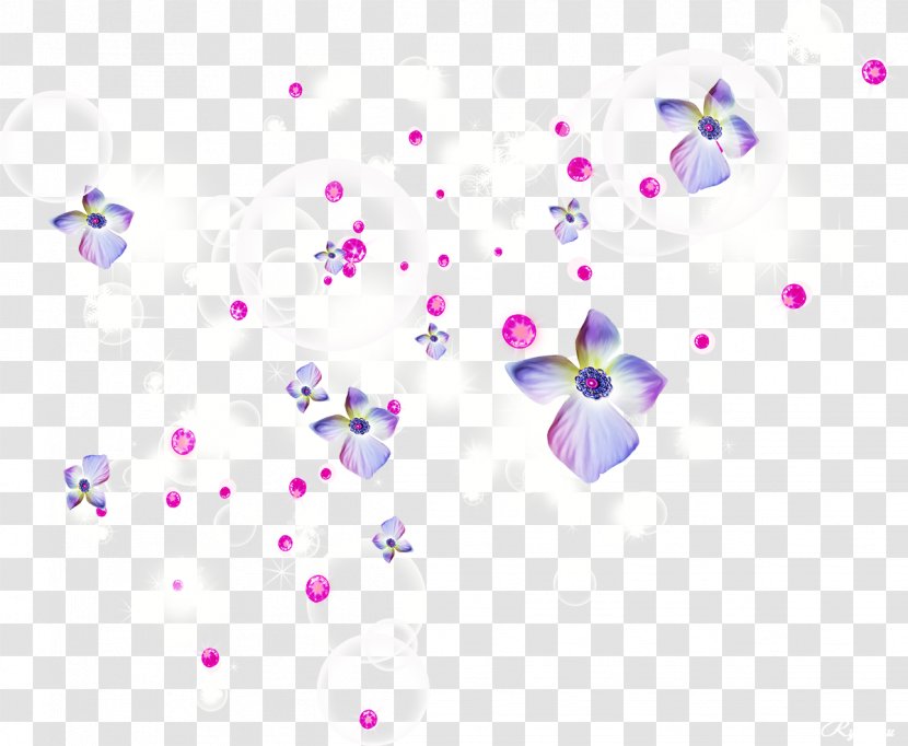 Flower Desktop Wallpaper - Magenta - Holi Transparent PNG