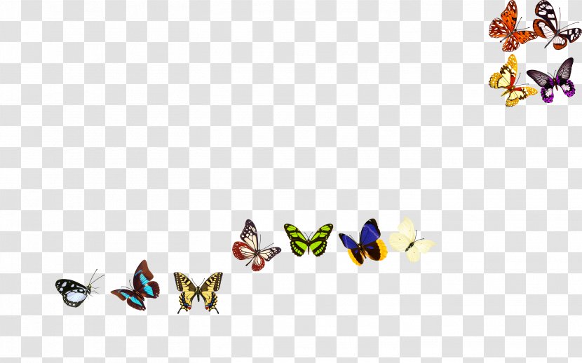Butterfly - Pollinator - Butterfly,Creative Transparent PNG