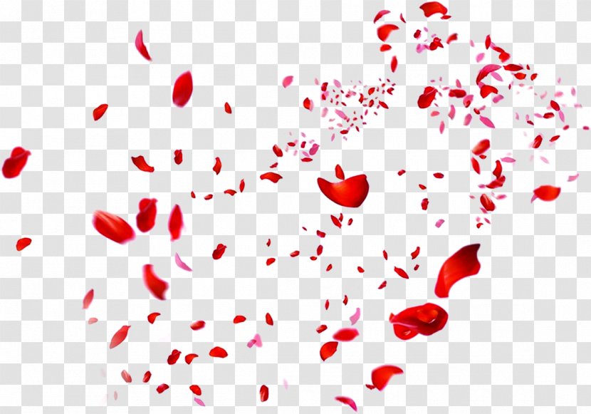 Beach Rose Petal Red Heart - Scattered Petals Transparent PNG