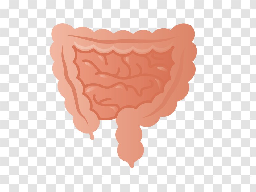 Medicine Cartoon - Human Gastrointestinal Microbiota - Pink Peptic Ulcer Disease Transparent PNG