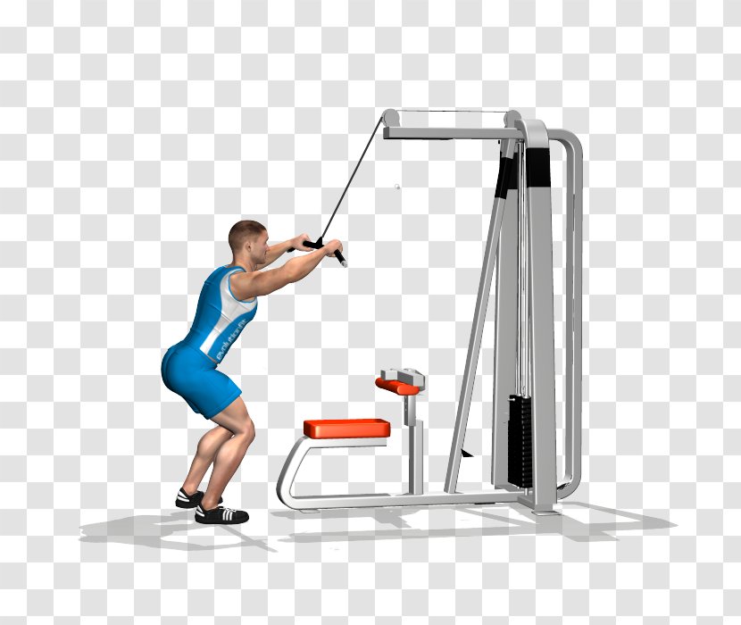 Shoulder Physical Fitness Pulldown Exercise Overhead Press - Machine Transparent PNG