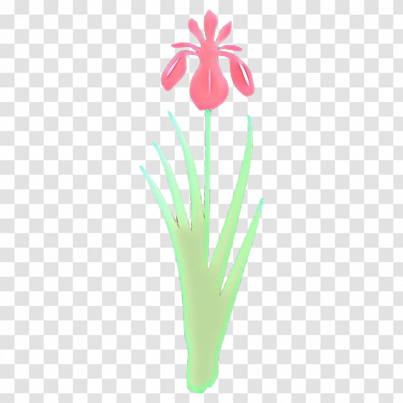 Flower Plant Grass Pedicel Tulip Transparent PNG