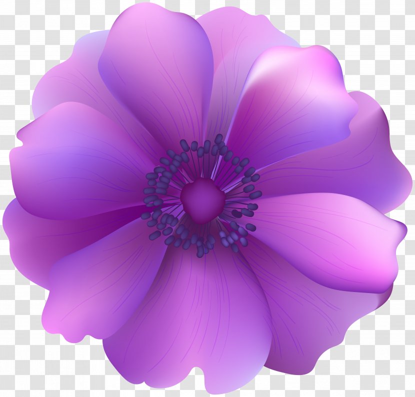 Flower Purple Clip Art - Lilac - Flowers Transparent PNG