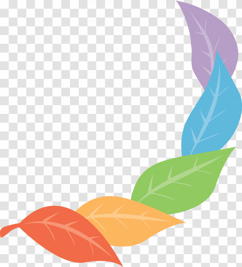 Leaf Line Meter Plants Biology Transparent PNG