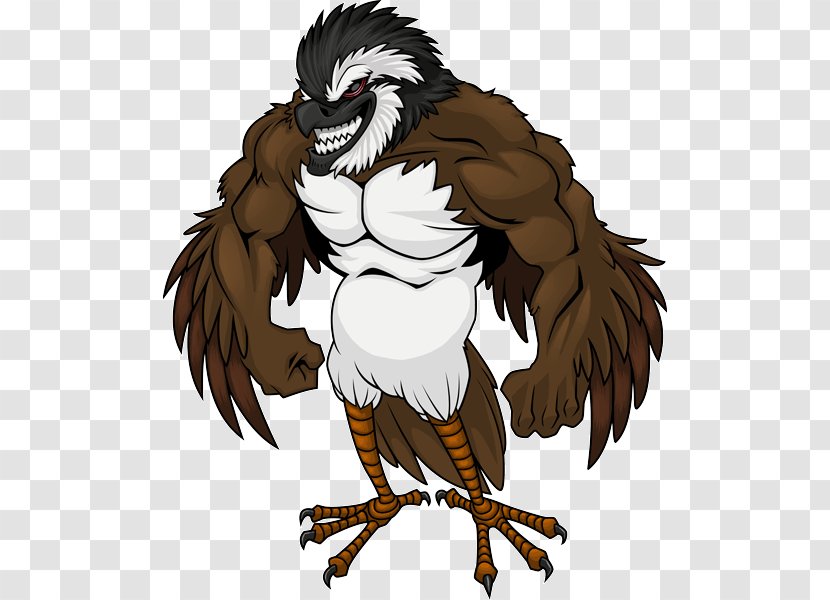 Bald Eagle Beak Cartoon - Bird Of Prey Transparent PNG