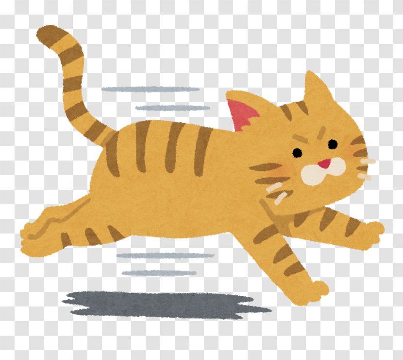 Cat Food Tiger 野良猫 Tabby - Domestic Short Haired Transparent PNG