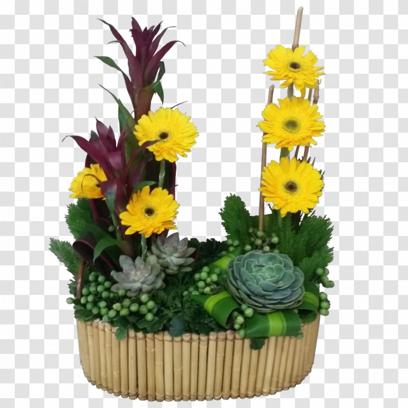 Transvaal Daisy Floral Design Flowerpot Cut Flowers - Floristry - Flower Transparent PNG