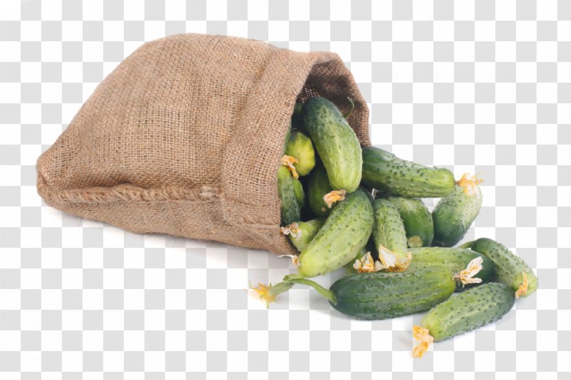 Cucumber Vegetable Gunny Sack Bag Auglis - Stock Photography - Bags Transparent PNG