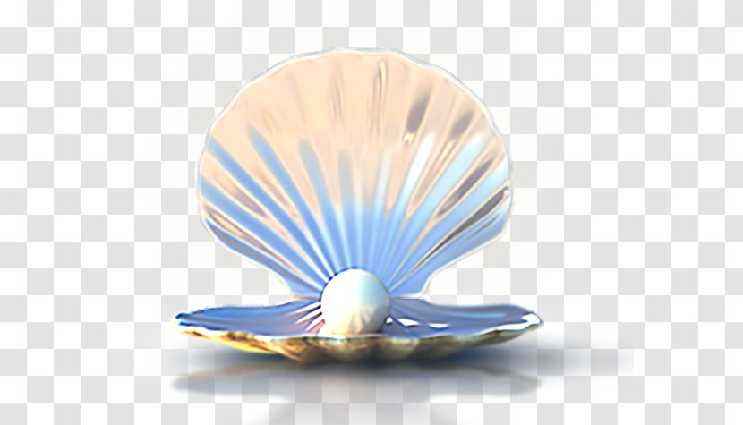 Seashell Download Computer File - Gratis - Seashells Transparent PNG