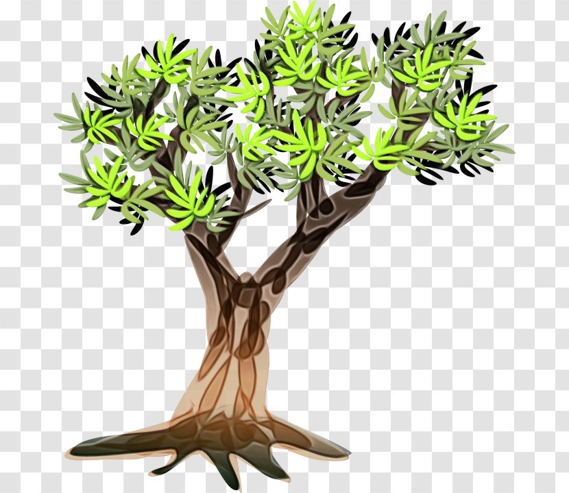 Tree Trunk - Plant - Herb Jade Flower Transparent PNG