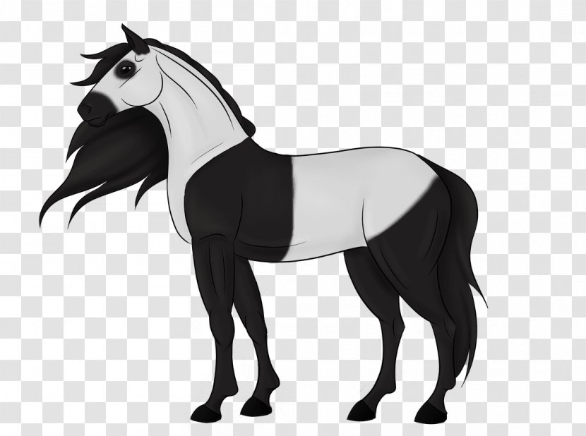 Mustang Foal Mare Stallion Colt - Rein Transparent PNG