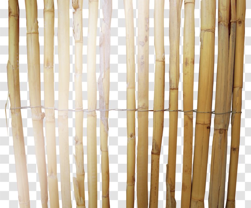 Barbed Wire Fil De Fer - Wood - Bamboo Arrangement Transparent PNG