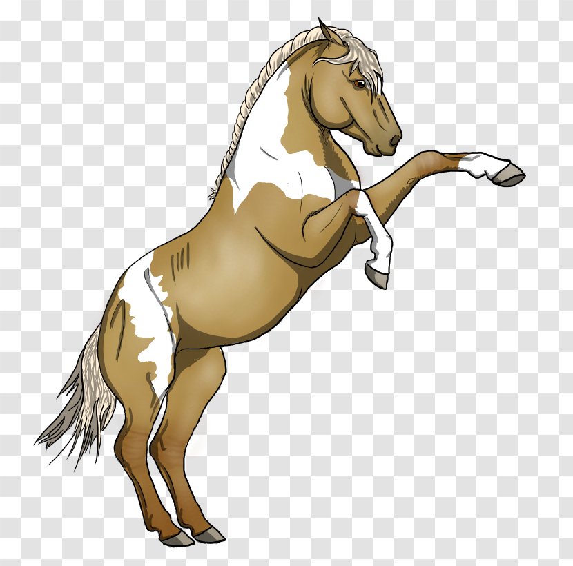 Mane Mustang Stallion Colt Donkey - Pony Transparent PNG