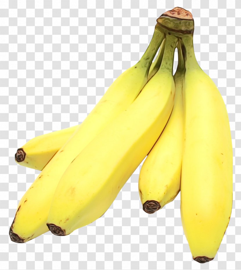 Banana Family Saba Cooking Plantain Yellow - Natural Foods - Agriculture Transparent PNG