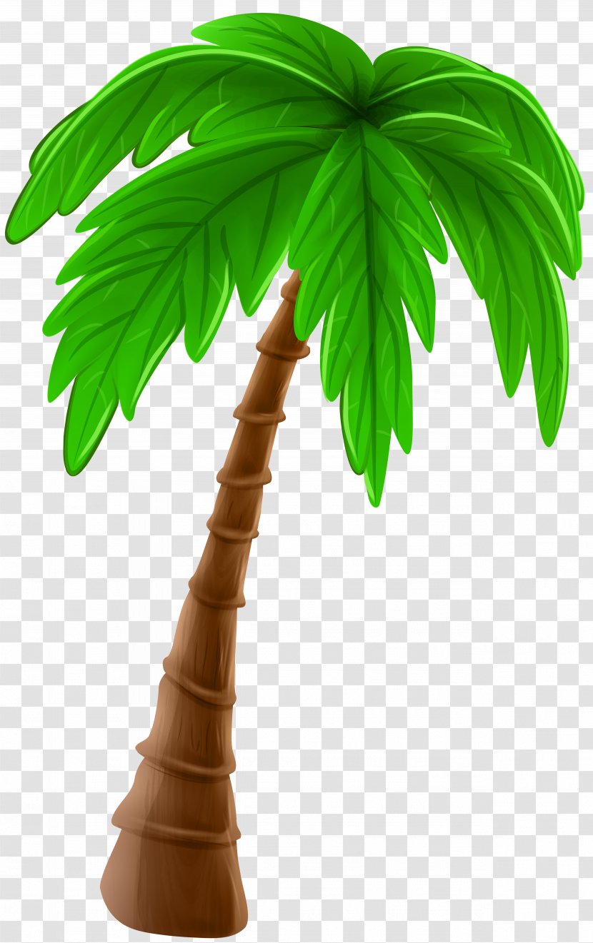 Arecaceae Cartoon Tree Clip Art - Arecales - Palm Image Transparent PNG