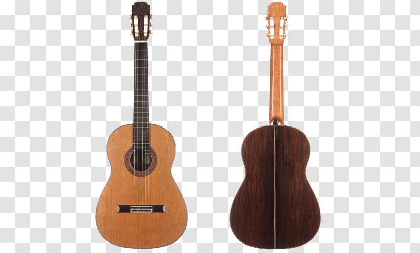 Classical Guitar Acoustic Musical Instruments Ramírez Guitars - Cartoon Transparent PNG