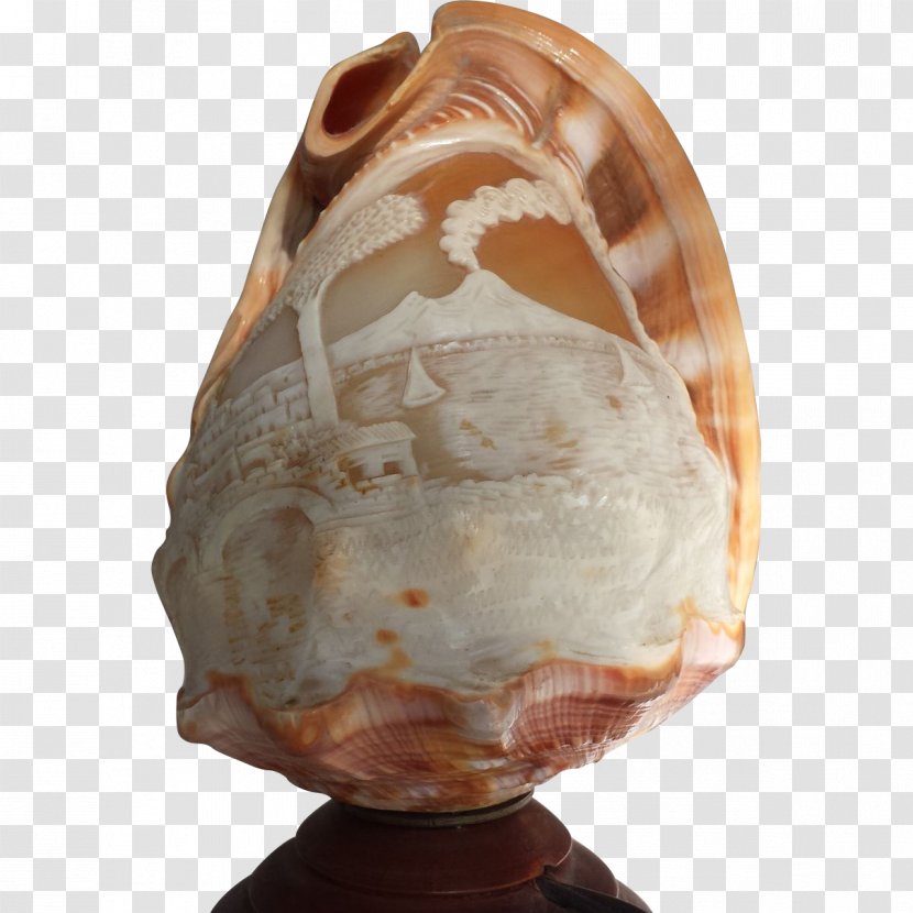 Shankha Seashell - Conch Transparent PNG